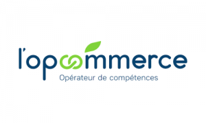 Logo OPCO COMMERCE